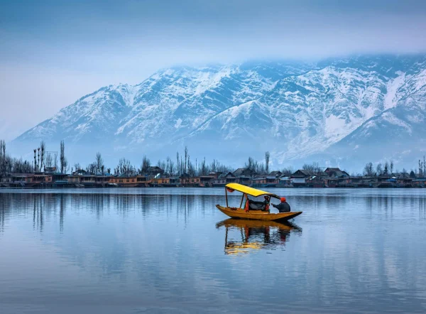 shutterstock_2044050407-scaled