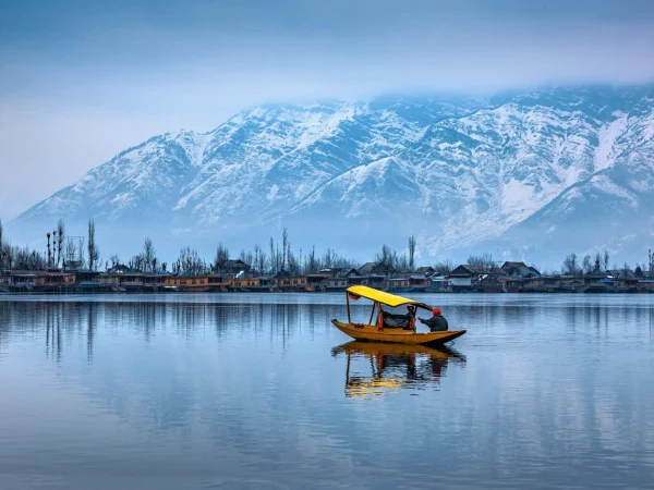 shutterstock_2044050407-scaled