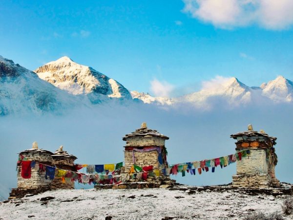 shutterstock_2105581682