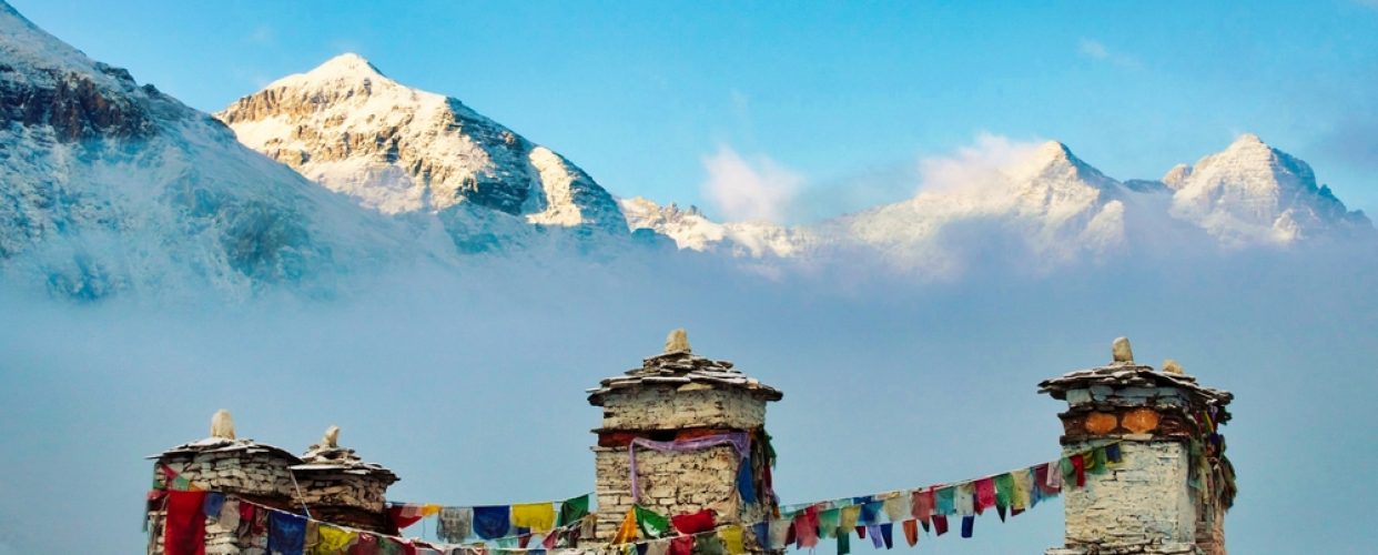 shutterstock_2105581682